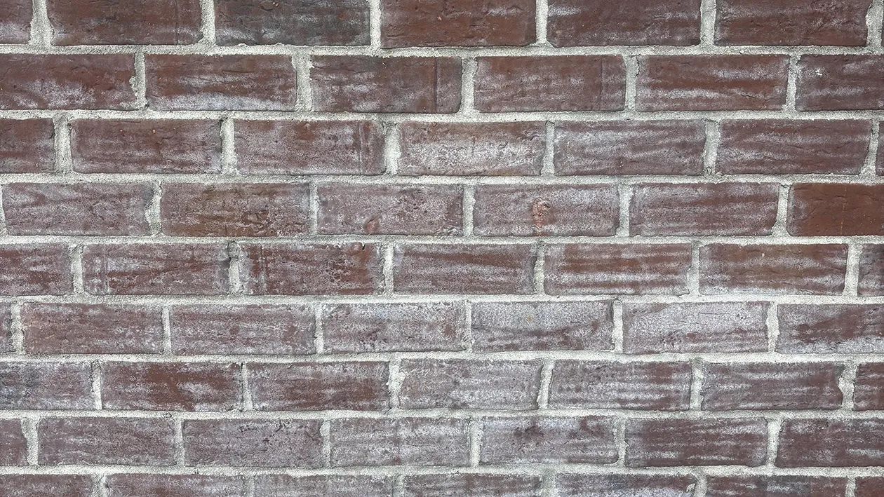 Efflorescence-in-brickwork